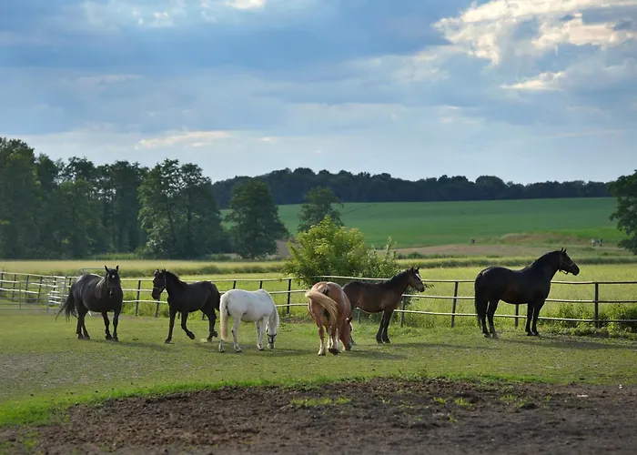 Marianówek Apartament